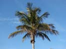 gulf of mexico hotels